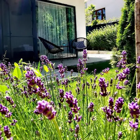 Gasthuis Blue Breeze Sinemoretz