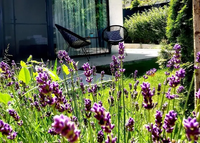 Affittacamere Blue Breeze Sinemoretz