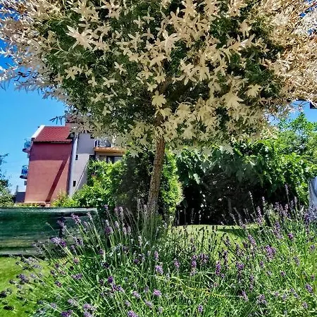 Vendégház Blue Breeze